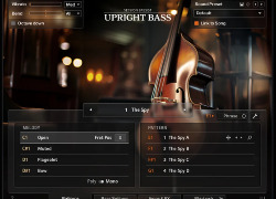 Native Instruments Session Bassist - Upright Bass